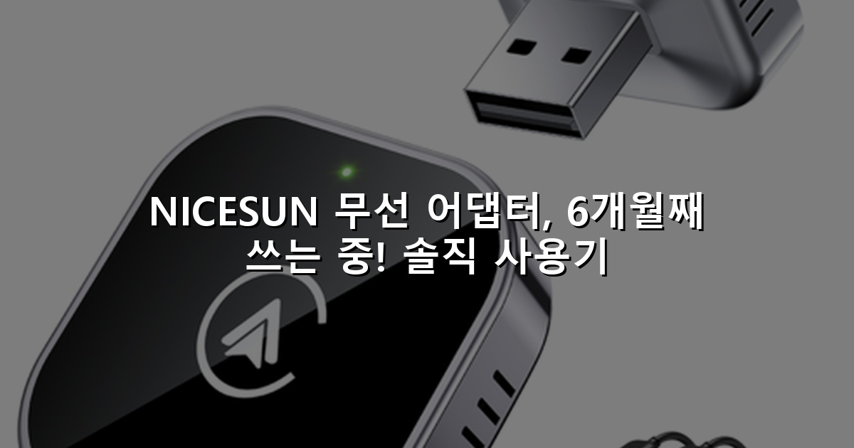 NICESUN 무선 어댑터, 6개월째 쓰는 중! 솔직 사용기