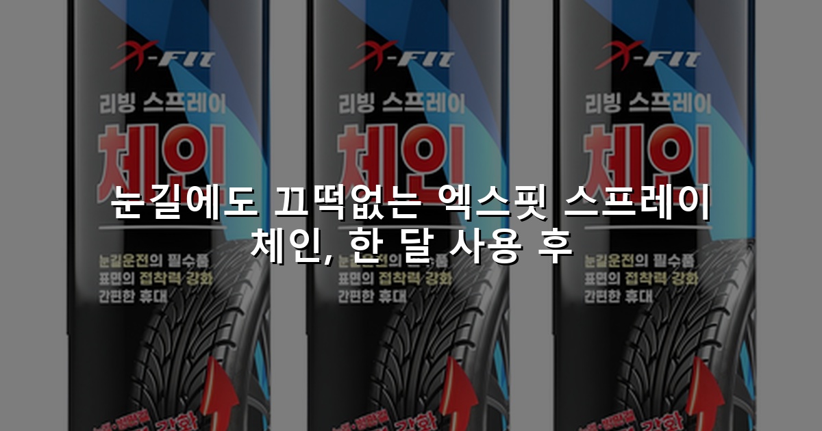 눈길에도 끄떡없는 엑스핏 스프레이 체인, 한 달 사용 후