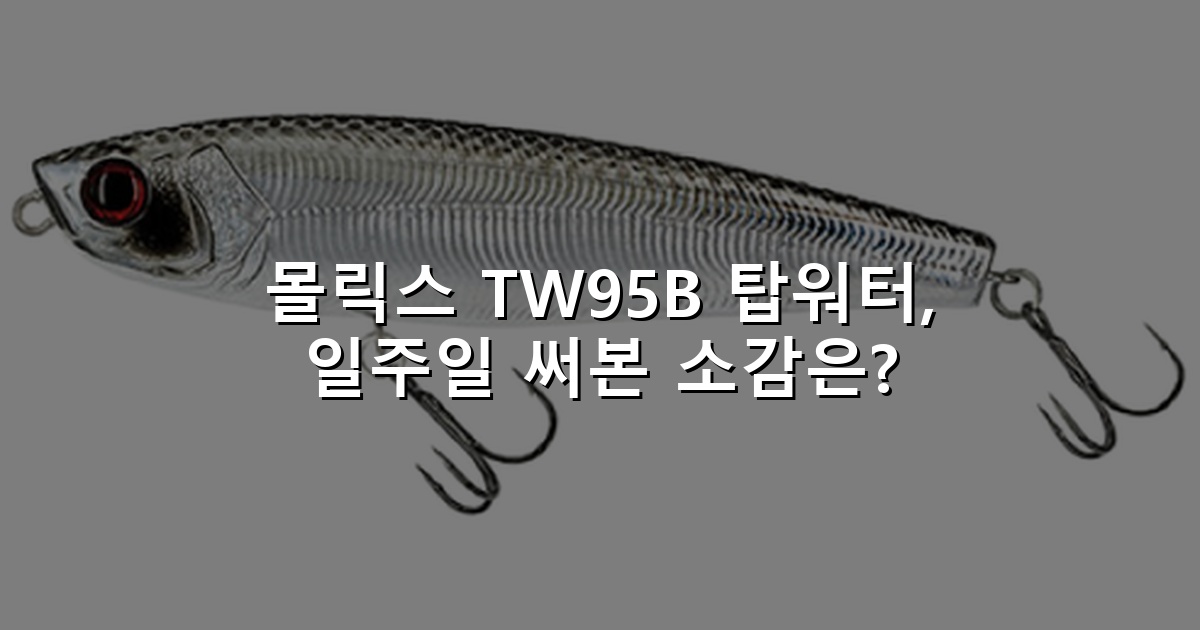 몰릭스 TW95B 탑워터, 일주일 써본 소감은?