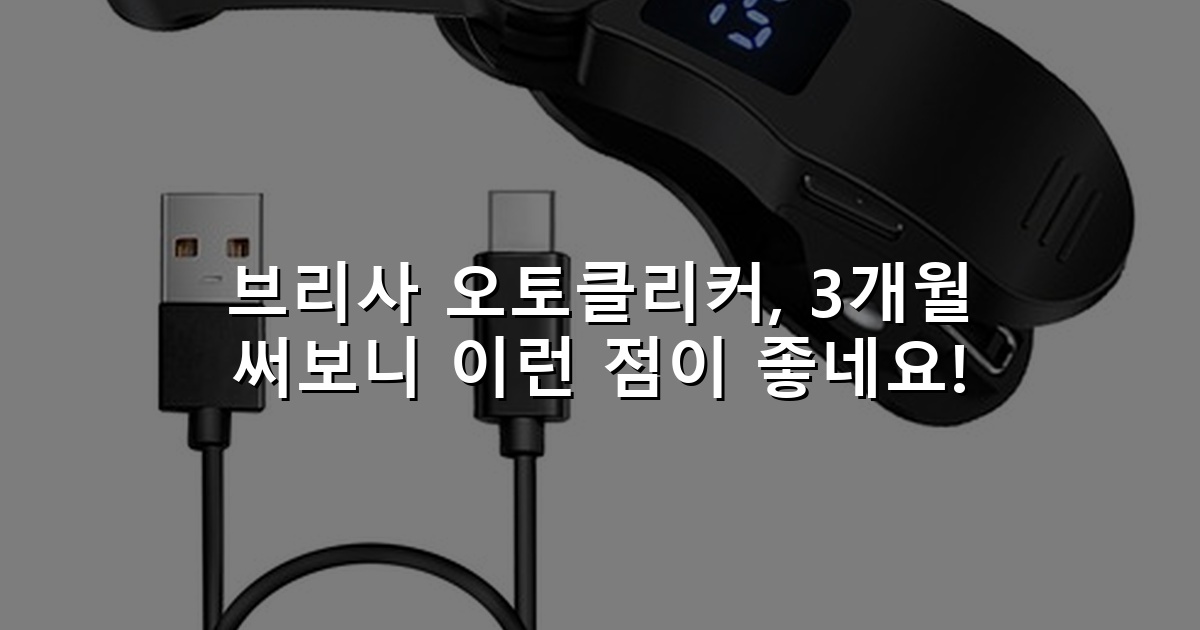 브리사 오토클리커, 3개월 써보니 이런 점이 좋네요!