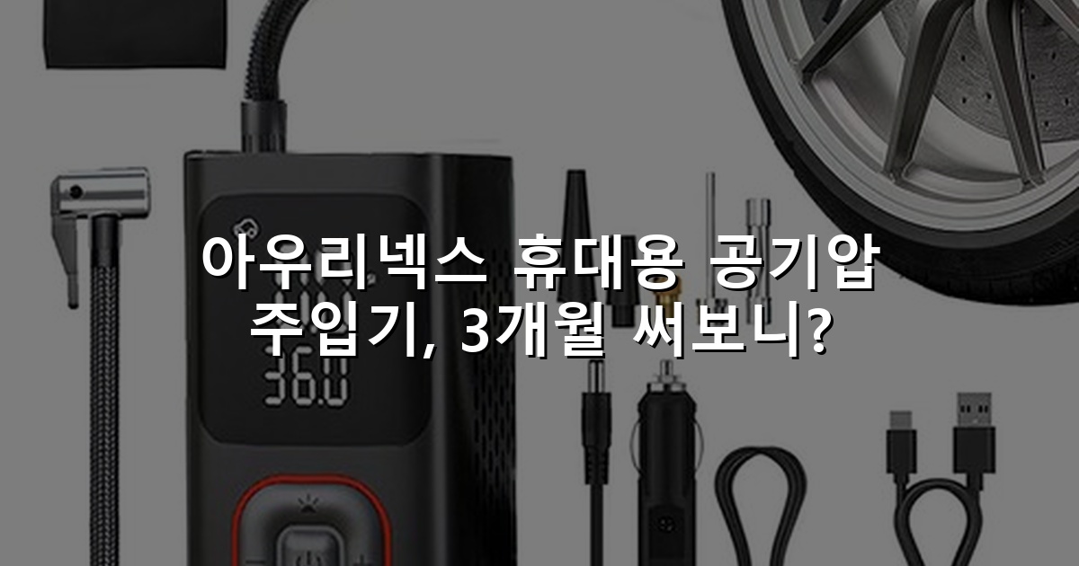 아우리넥스 휴대용 공기압 주입기, 3개월 써보니?