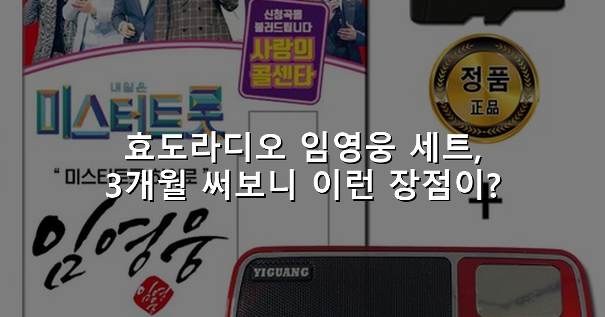 효도라디오 임영웅 세트, 3개월 써보니 이런 장점이?