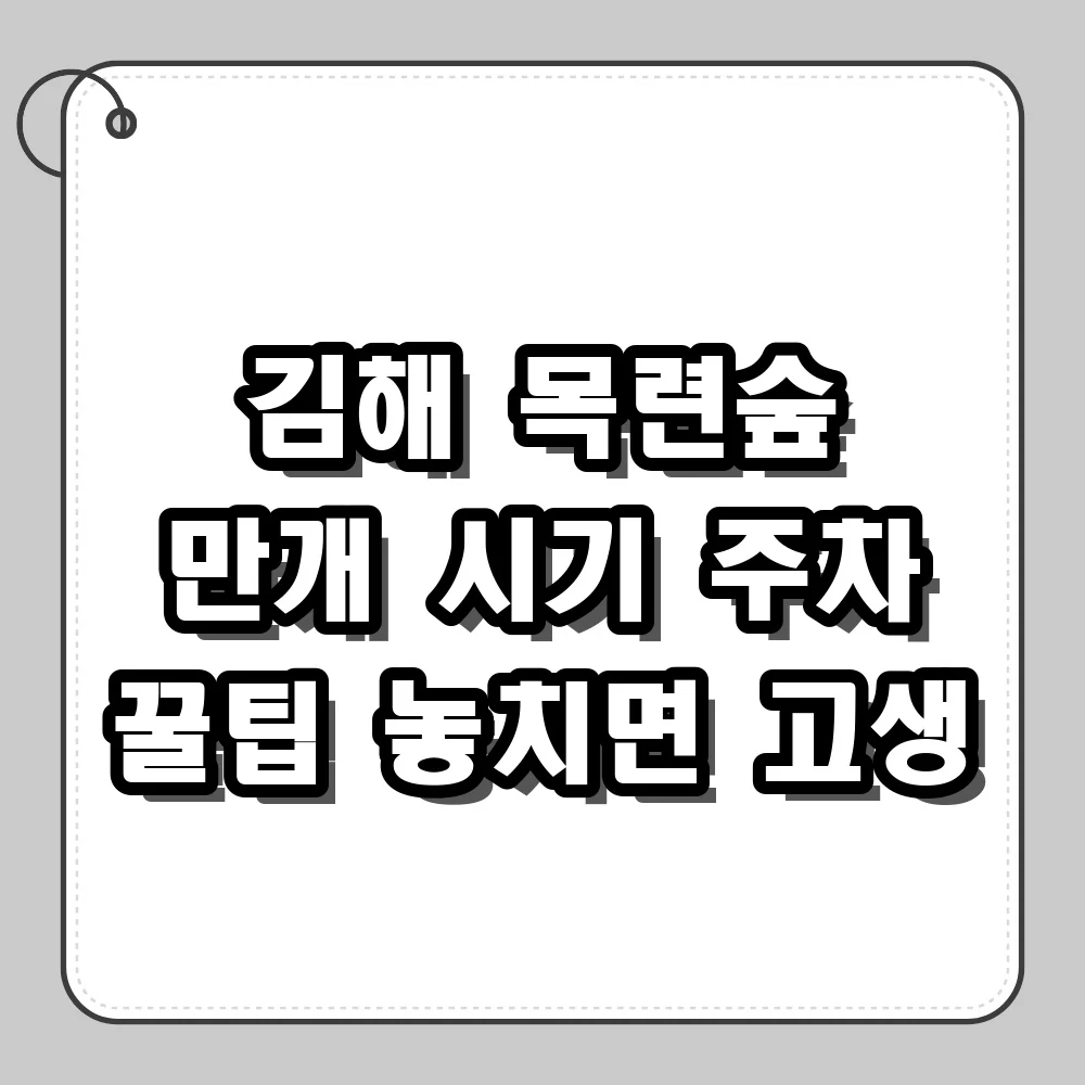 김해 목련숲 개화 시기 맞춰 방문하는 주차 꿀팁