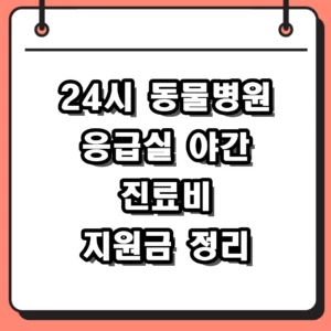 24시 동물병원 야간 응급 상황 시 당황하지 않고 대처하는 방법