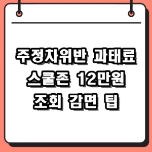주정차위반 과태료 금액 및 스쿨존 위반 조회 납부 총정리