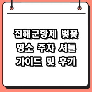 진해군항제 벚꽃 여행 2026년 현장 후기와 주차 명소 정리