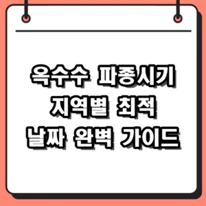 옥수수 파종시기 지역별 최적의 날짜와 실패 없는 심는 법
