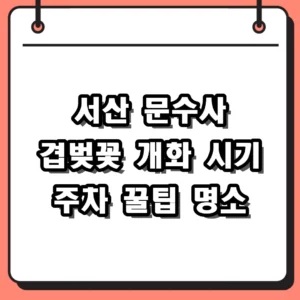 서산 문수사 겹벚꽃 개화시기 주차 명당 및 2026 실시간 방문 팁