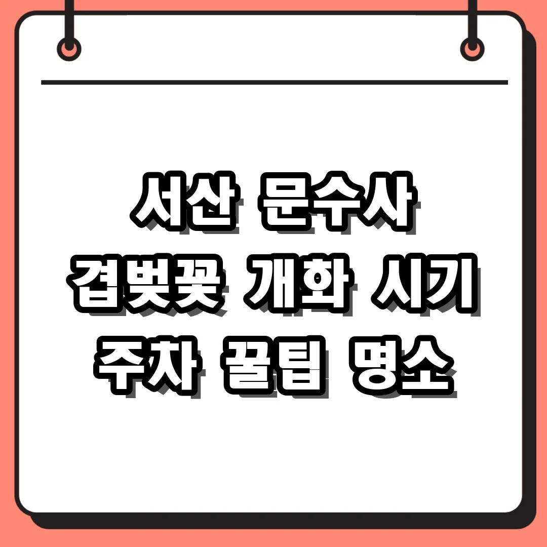 서산 문수사 겹벚꽃 개화 시기 주차 꿀팁 명소