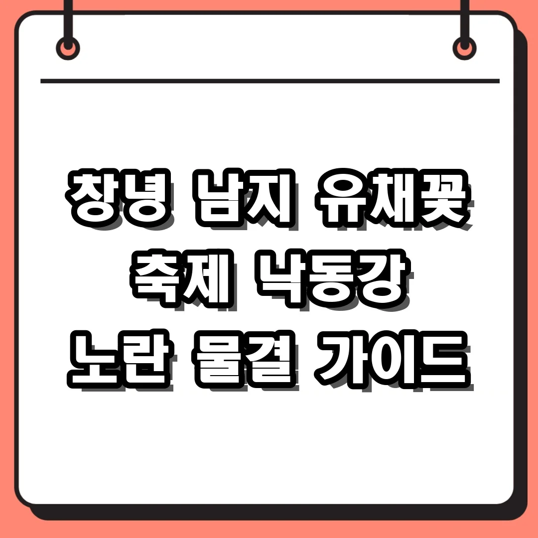 창녕 남지 유채꽃 축제 낙동강 노란 물결 가이드