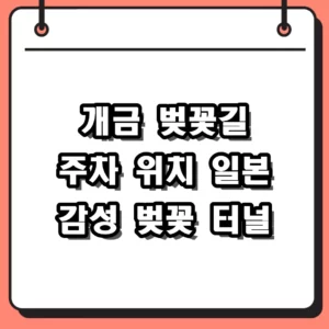 개금 벚꽃길 주차 가는법 2026 축제 일정과 일본 감성 명당