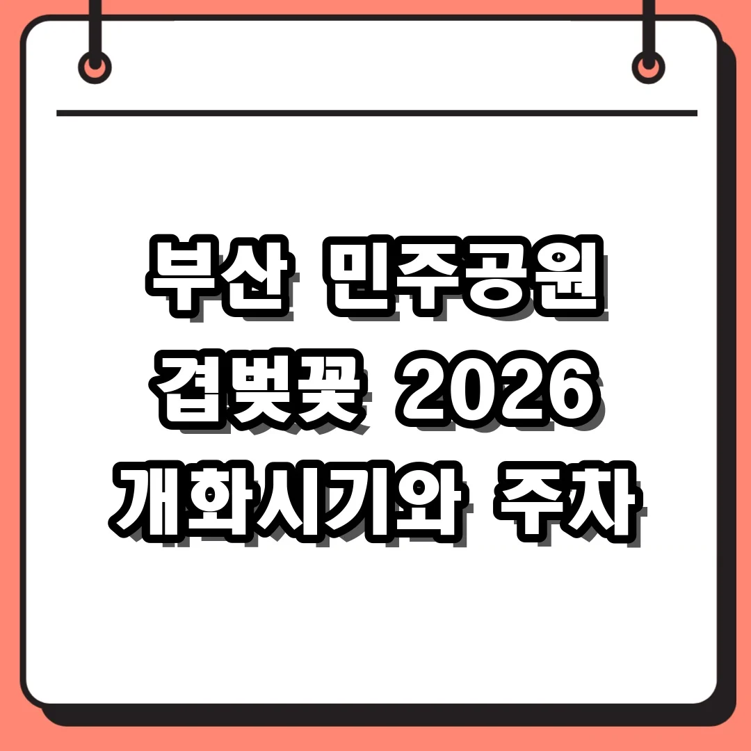 부산 민주공원 겹벚꽃 2026 개화시기와 주차