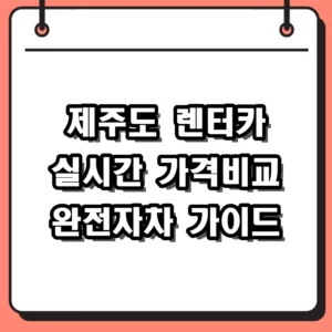 제주도 렌터카 가격비교 및 완전자차 보험 예약 꿀팁