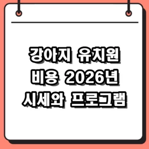 2026년 강아지 유치원 비용 및 선택 시 꼭 확인해야 할 3가지