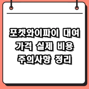 포켓와이파이 대여 가격 및 eSIM 장단점 비교 팩트 체크