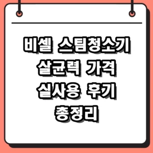 비셀 스팀청소기 가격 성능 및 2026년 실사용 후기 가이드