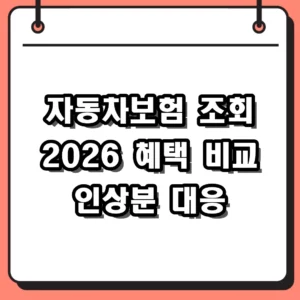 2026년 자동차보험 조회 혜택 비교 및 보험료 인상 대응법