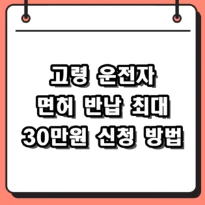 2026 고령 운전자 면허 반납 혜택 및 지역별 신청 방법 총정리