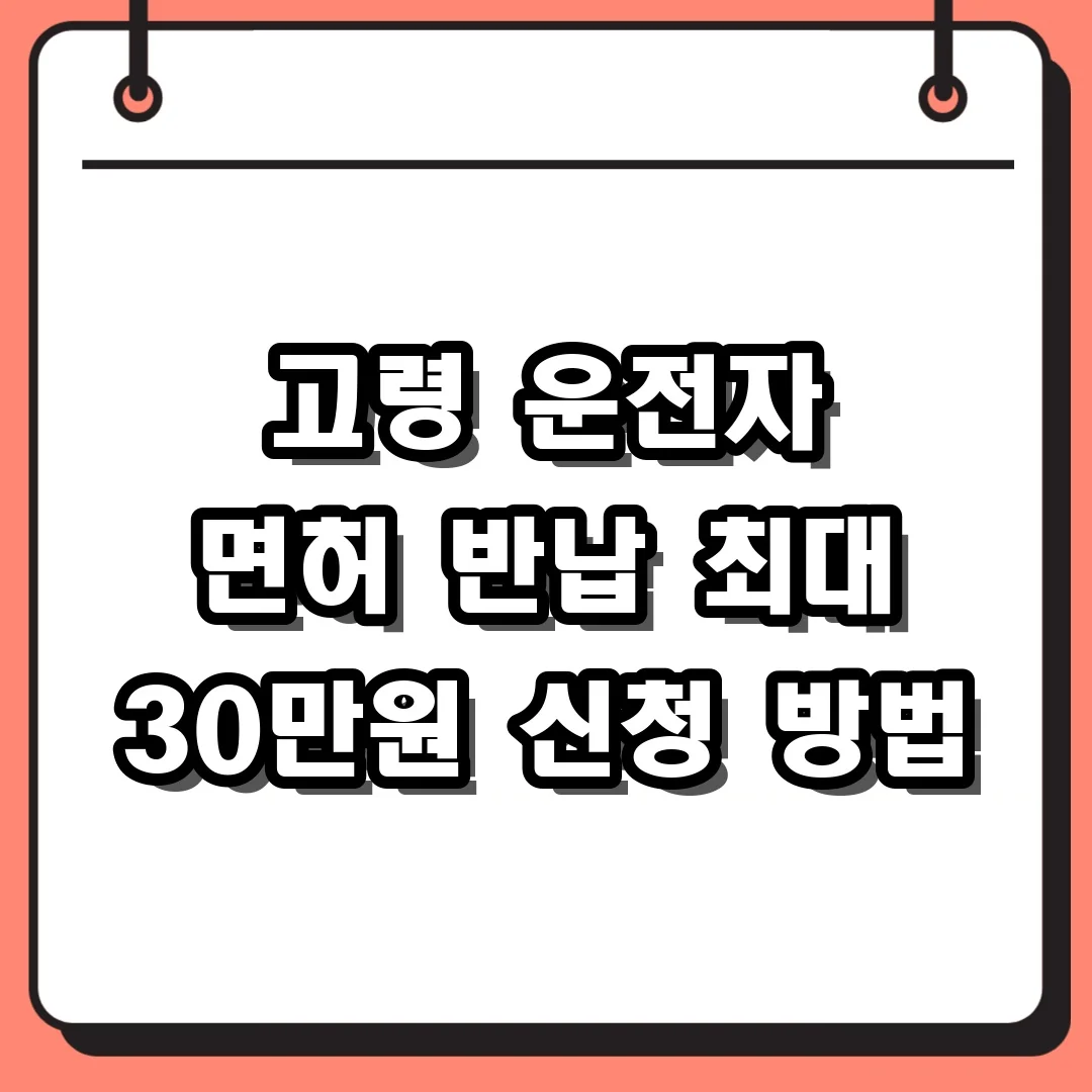 고령 운전자 면허 반납 최대 30만원 신청 방법