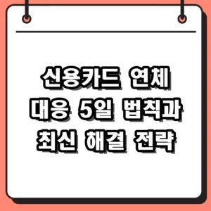 신용카드 연체 대응 5일의 법칙과 2026년 최신 해결 전략