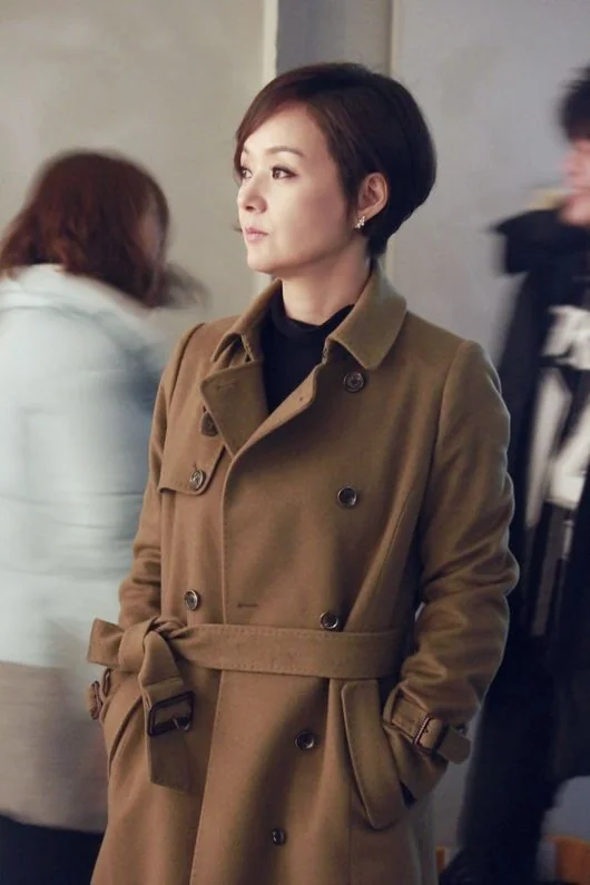 배종옥 본명과 나이 프로필 관련 이미지