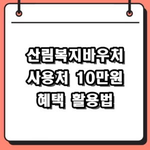 2026 산림복지바우처 사용처 가맹점 및 신청방법 잔액조회 총정리
