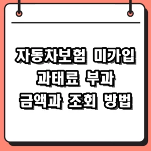 자동차보험 미가입 과태료 부과 기준 및 2026년 실시간 조회 방법