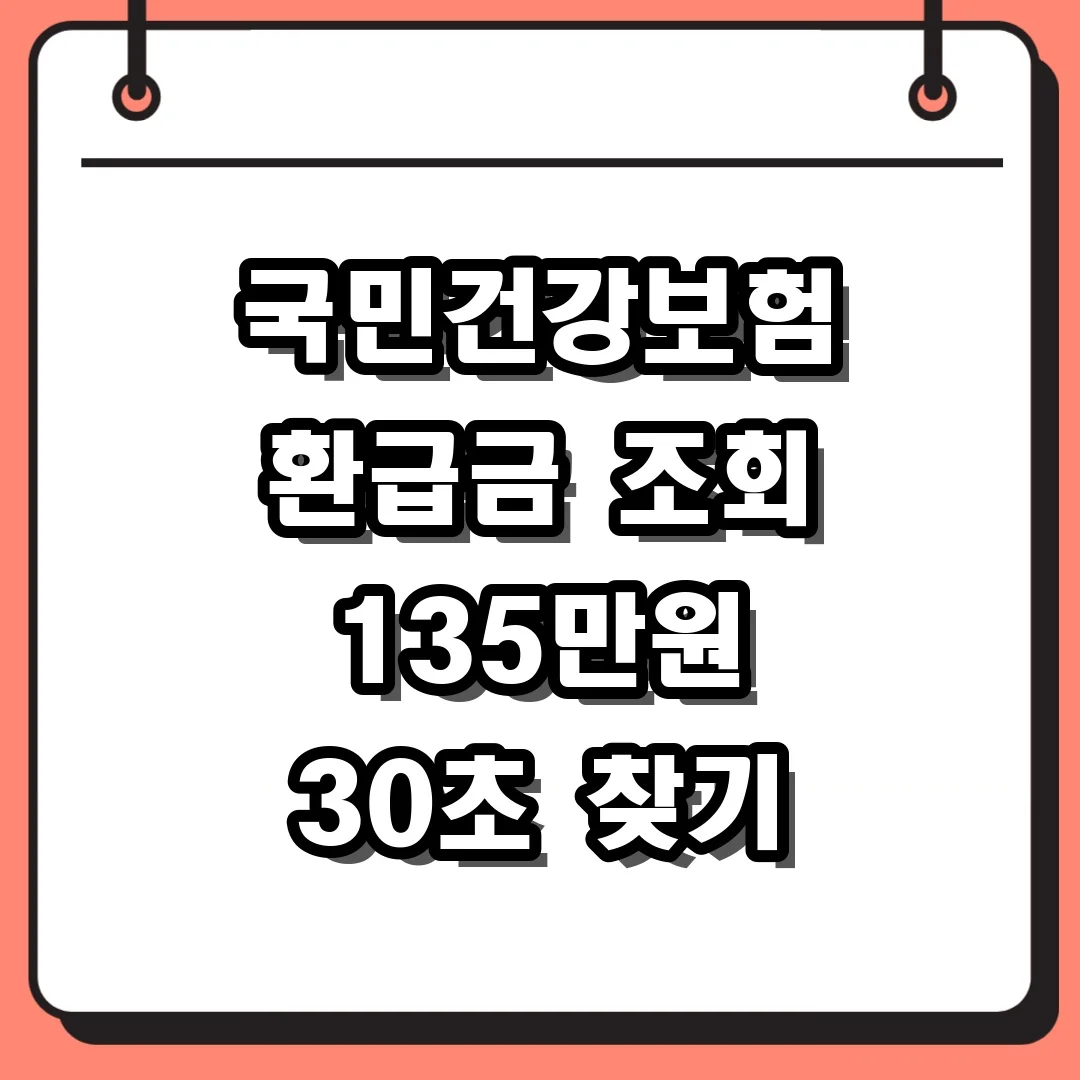 국민건강보험 환급금 조회 135만원 30초 찾기