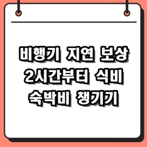 비행기 지연 보상 기준 및 항공사 연착 청구 방법 총정리
