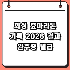 화성 효마라톤 기록 조회 2026 결과 확인 및 완주증 발급