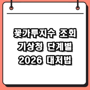 꽃가루지수 조회 방법 및 기상청 위험 단계별 대처법 2026 가이드