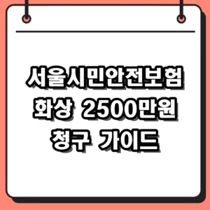 서울시민안전보험 화상 보장 내용과 2026년 청구 방법 총정리