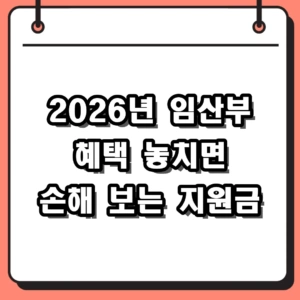 2026년 임산부 혜택 총정리 및 신청 방법 의료비 교통비 지원 안내