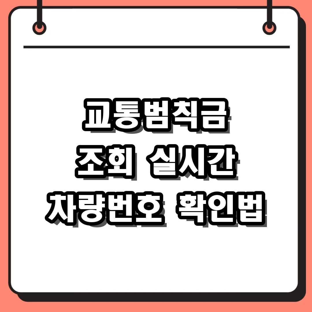 교통범칙금 조회 실시간 차량번호 확인법