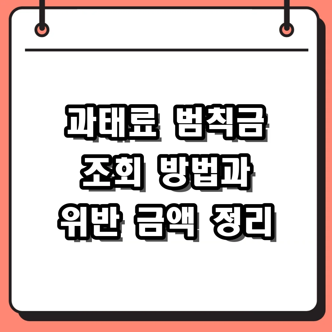 과태료 범칙금 조회 방법과 위반 금액 정리