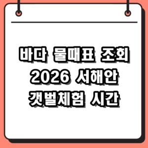 2026 바다 물때표 조회 방법 서해안 인천 갯벌체험 낚시 시간표