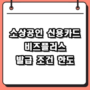 2026 소상공인 신용카드 비즈플러스 발급 조건 및 한도 혜택 총정리
