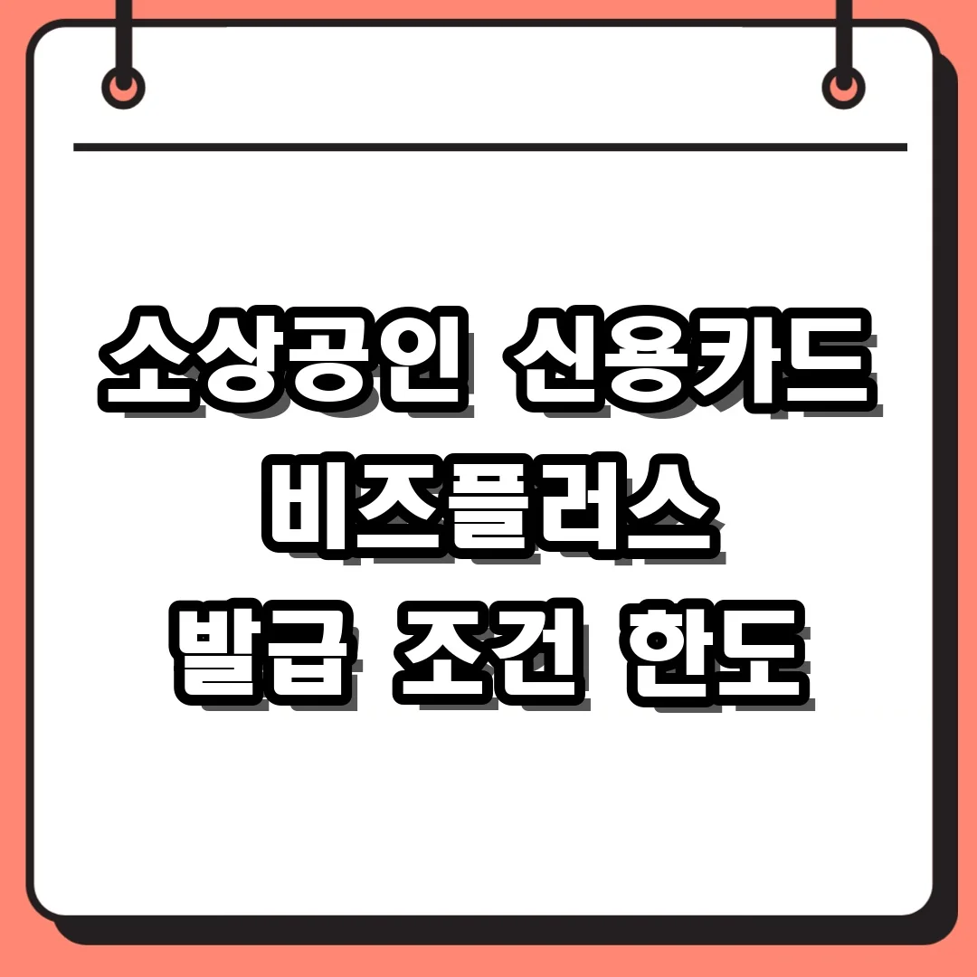 소상공인 신용카드 비즈플러스 발급 조건 한도