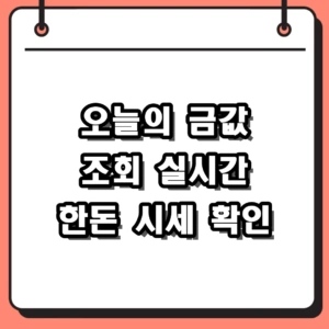 2026년 오늘의 금값 조회 실시간 시세 및 24K 18K 한돈 가격 확인 방법