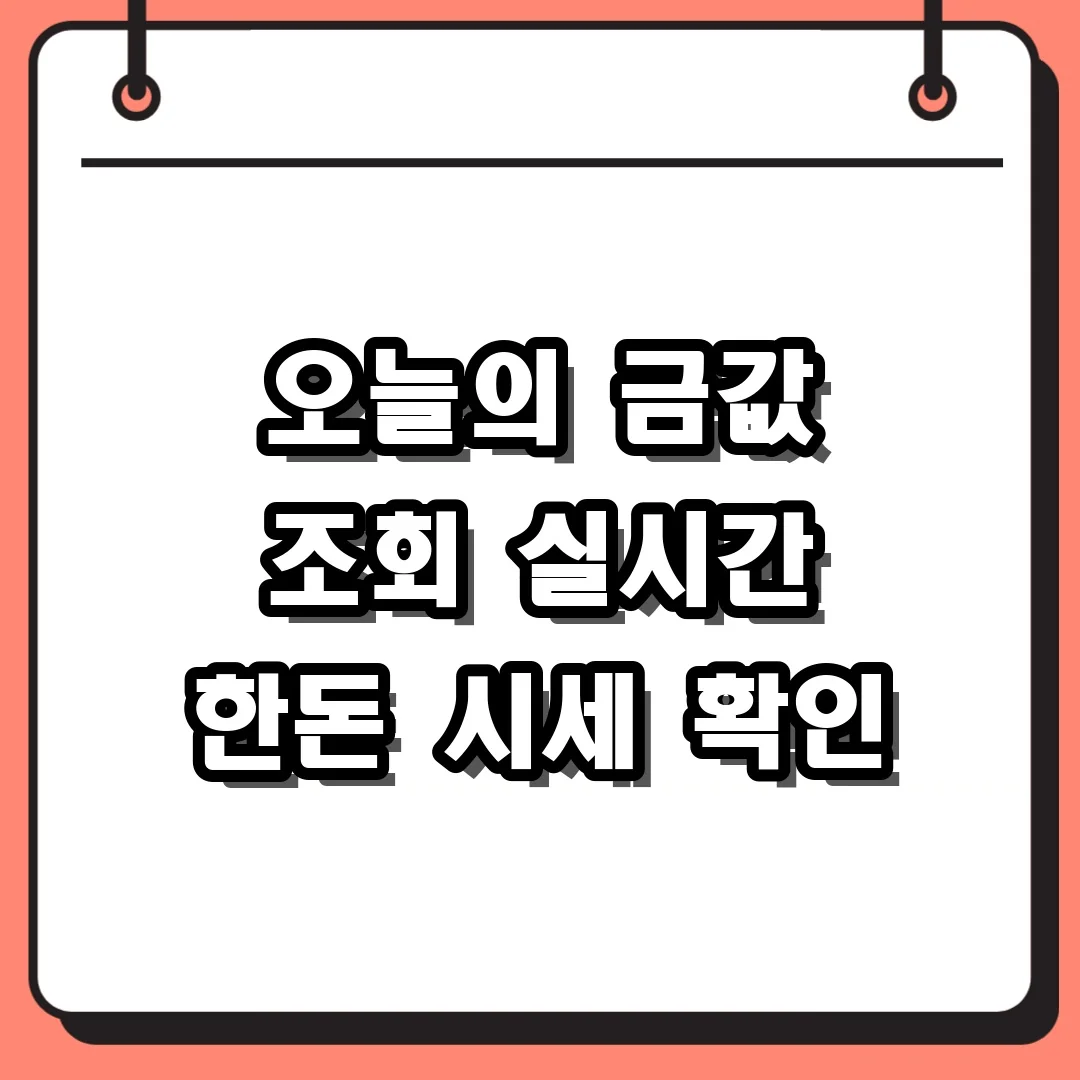 오늘의 금값 조회 실시간 한돈 시세 확인