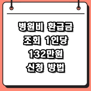 병원비 환급금 조회 1인당 132만원 신청 방법 완벽 가이드