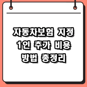 자동차보험 지정 1인 추가 방법 및 비용 경력인정 총정리