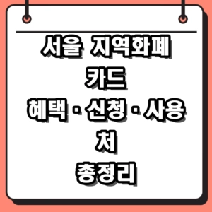 2026 서울 지역화폐 카드 신청 방법 및 사용처 혜택 총정리