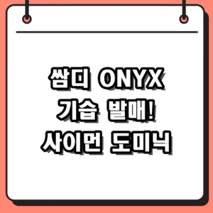 쌈디 ONYX 신보 발매와 사이먼 도미닉 프로필 최신 정보 정리