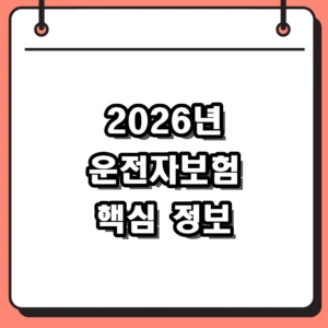 2026년 운전자보험 정보 및 보장내용, 자동차보험과 차이점 완벽 비교