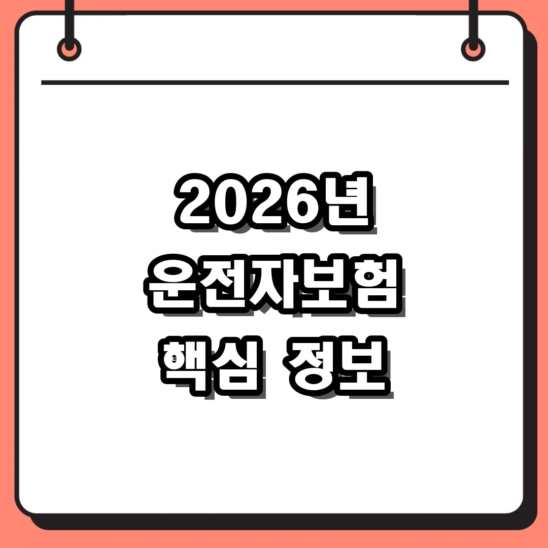 2026년 운전자보험 핵심 정보
