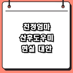 2026년 친정엄마 산후도우미 대체 정부지원 및 사설 업체 비교