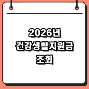 2026년 건강생활지원금 조회 방법 및 대상자 확인 가이드