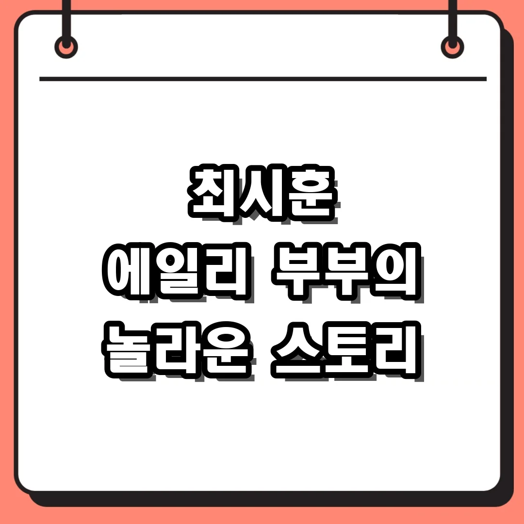최시훈 에일리 부부의 놀라운 스토리