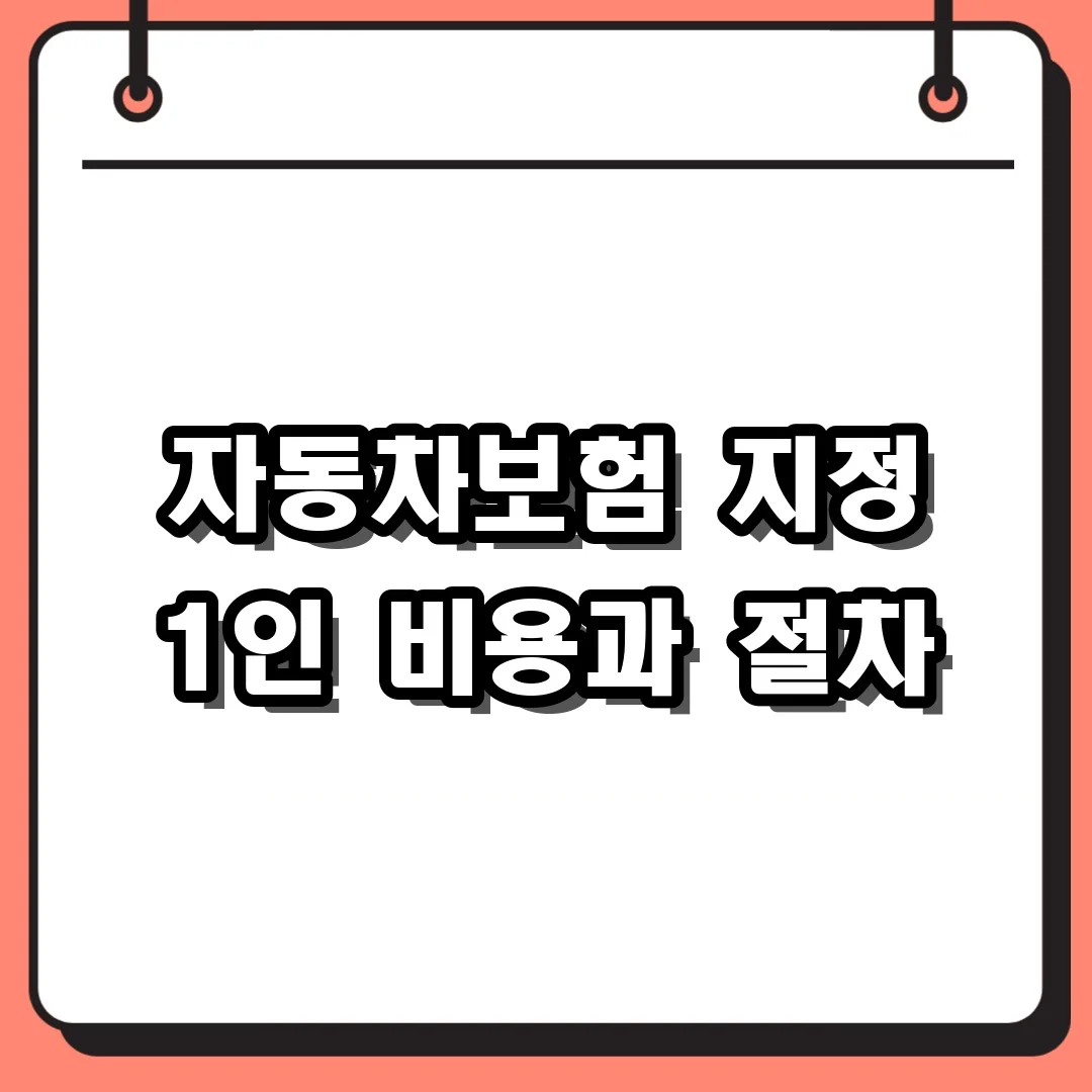 자동차보험 지정 1인 비용과 절차